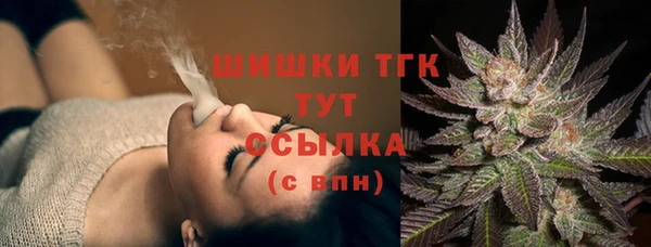 хмурый Гусь-Хрустальный
