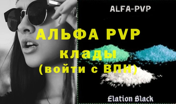 хмурый Гусь-Хрустальный
