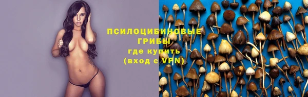 каннабис Гусев