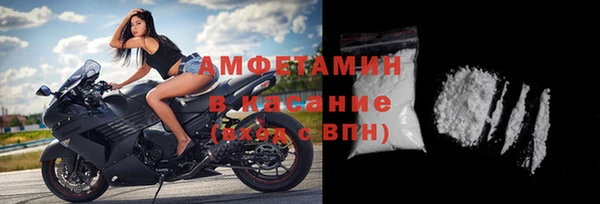 хмурый Гусь-Хрустальный