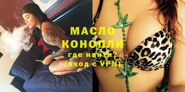 хмурый Гусь-Хрустальный