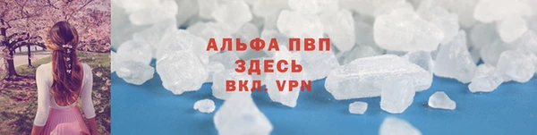 хмурый Гусь-Хрустальный