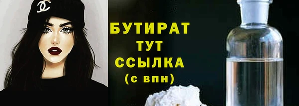 хмурый Гусь-Хрустальный