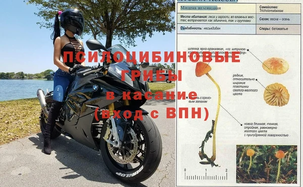 каннабис Гусев