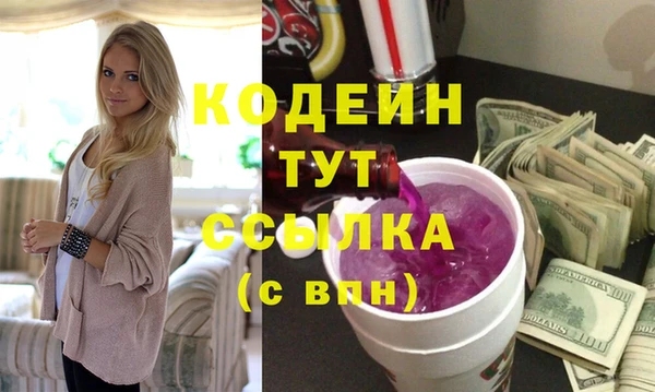 хмурый Гусь-Хрустальный